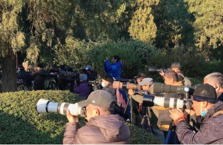 %！银发数码摄影如何进阶为市场掘金新热点？龙8手机登录入口客单价过万成交增长超100(图3)