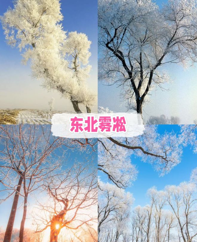 东北五日游最佳路线 旅游攻略超全指南龙8游戏国际登录东北5日